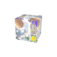 Новогодняя ночь Салют купить в Твери | tver.salutsklad.ru