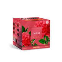 Пионы Салют купить в Твери | tver.salutsklad.ru