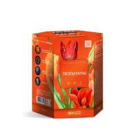 Тюльпаны Салют купить в Твери | tver.salutsklad.ru