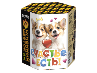 Счастье есть! Салют купить в Твери | tver.salutsklad.ru