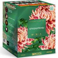 Хризантемы Фейерверк купить в Твери | tver.salutsklad.ru