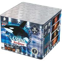 Косатка Фейерверк купить в Твери | tver.salutsklad.ru