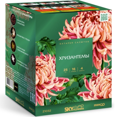 Хризантемы Фейерверк купить в Твери | tver.salutsklad.ru