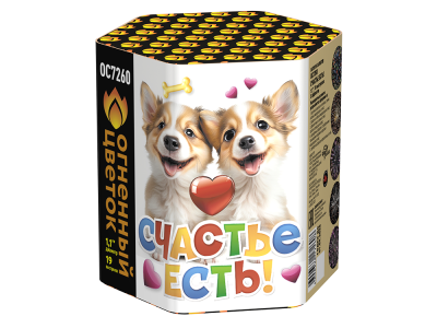 Счастье есть! Салют купить в Твери | tver.salutsklad.ru